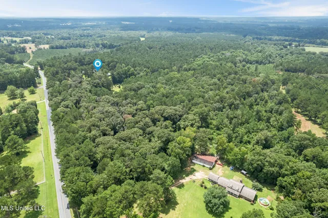 $424,000 | 307 Salem School Road, Collins, MS 39428