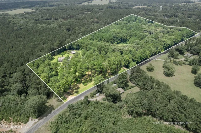 $424,000 | 307 Salem School Road, Collins, MS 39428