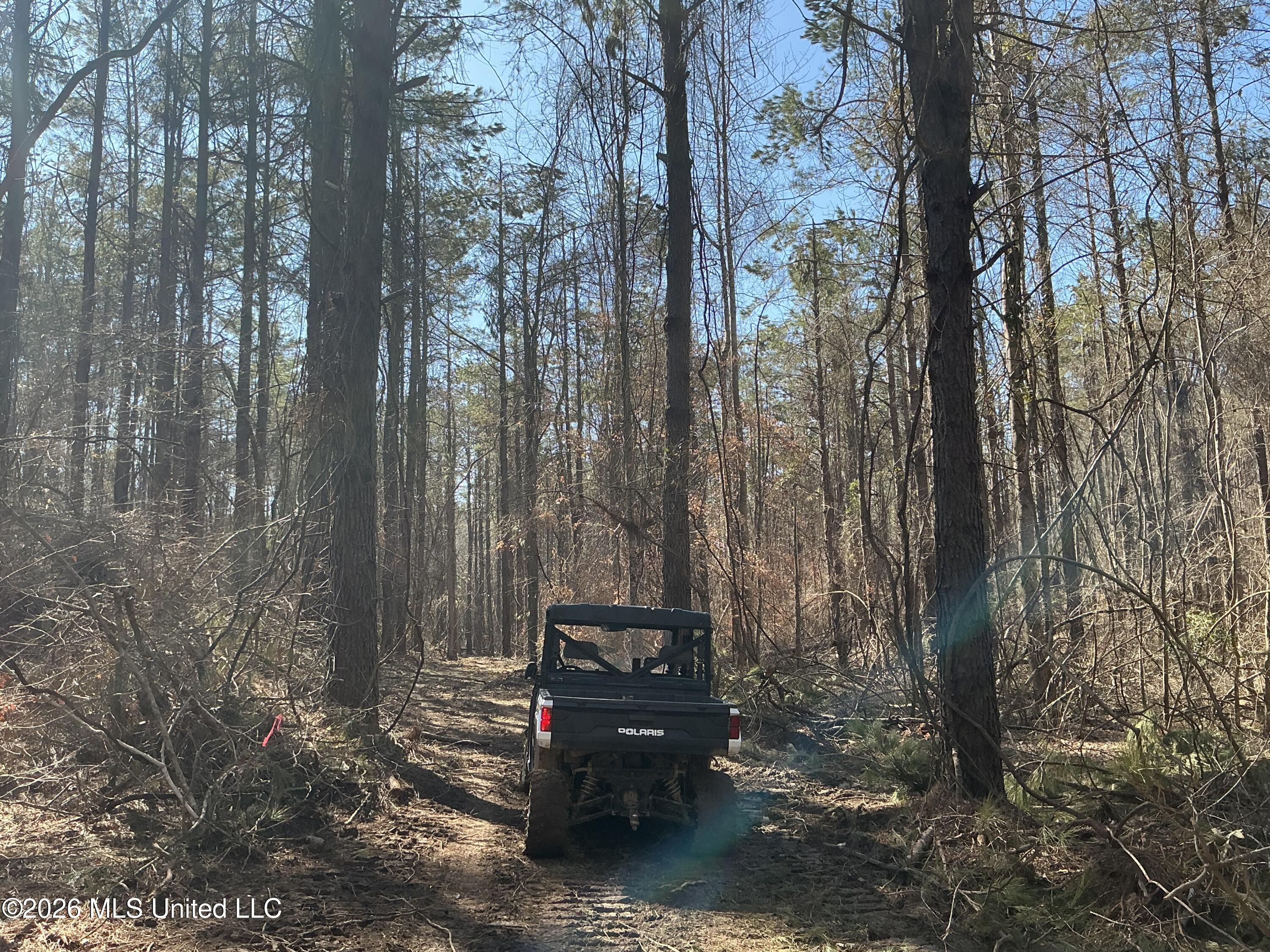 Norwood Road Carrollton, MS 38917 - Photo 18 of 28 IMG_0661