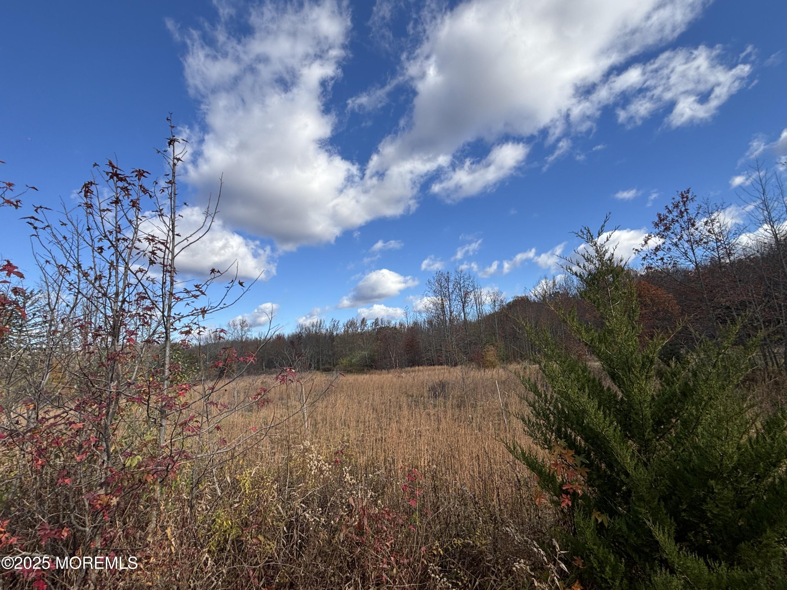 28 McCaffery Road Manalapan, NJ 07726 - Photo 2 of 2 a view of a lake in middle of forest