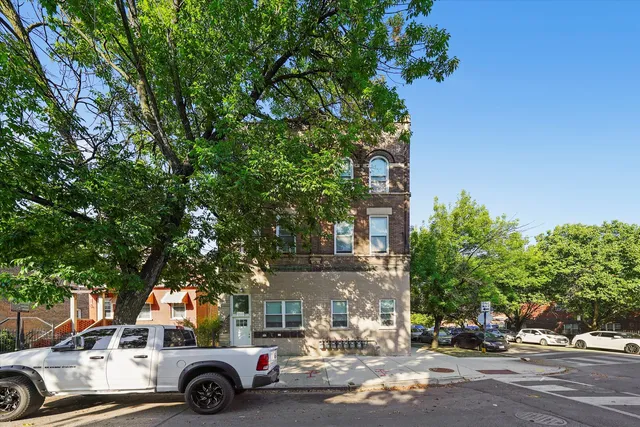 a view of a city street with a large tree