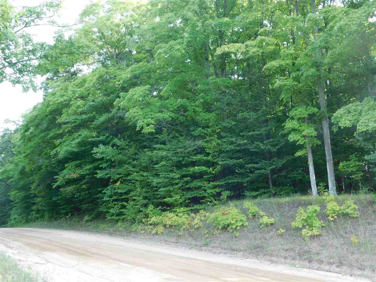 9957 Shively Road Fife Lake, MI 49633 - Photo 34 of 39 1852169-33.JPG