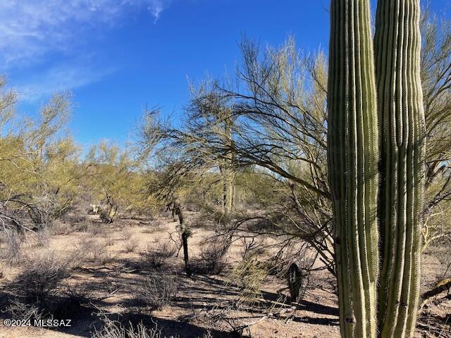 2850 South Kinney Road Tucson, AZ 85735 - Photo 1 of 4 Gallery Image 1