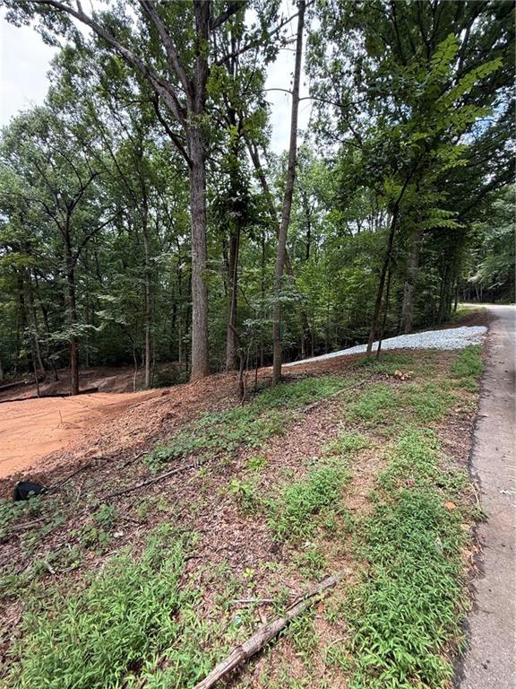 3328 Cooper Bridge Road Gainesville, GA 30507 - Photo 10 of 10 Gallery Image 10