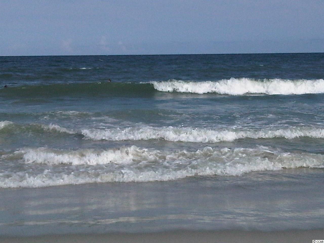 213 Wando River Road, Unit 11D Myrtle Beach, SC 29579 - Photo 33 of 40 Gallery Image 33