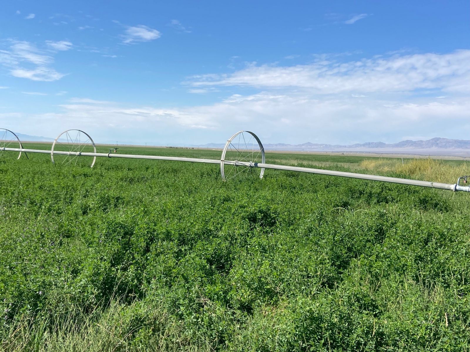 1199 Fire Station Road South Ely, NV 89301 - Photo 5 of 46
