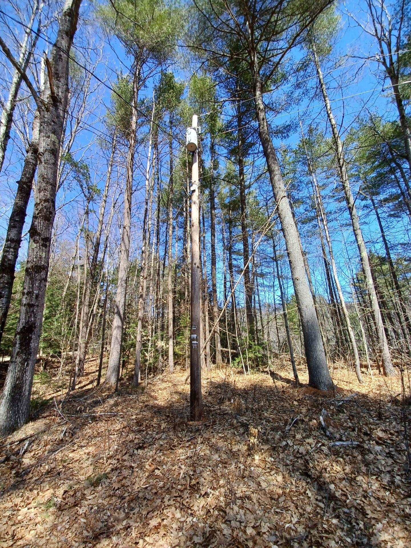 1 Saunders Hill Road Wentworth, NH 03282 - Photo 3 of 16 Gallery Image 3