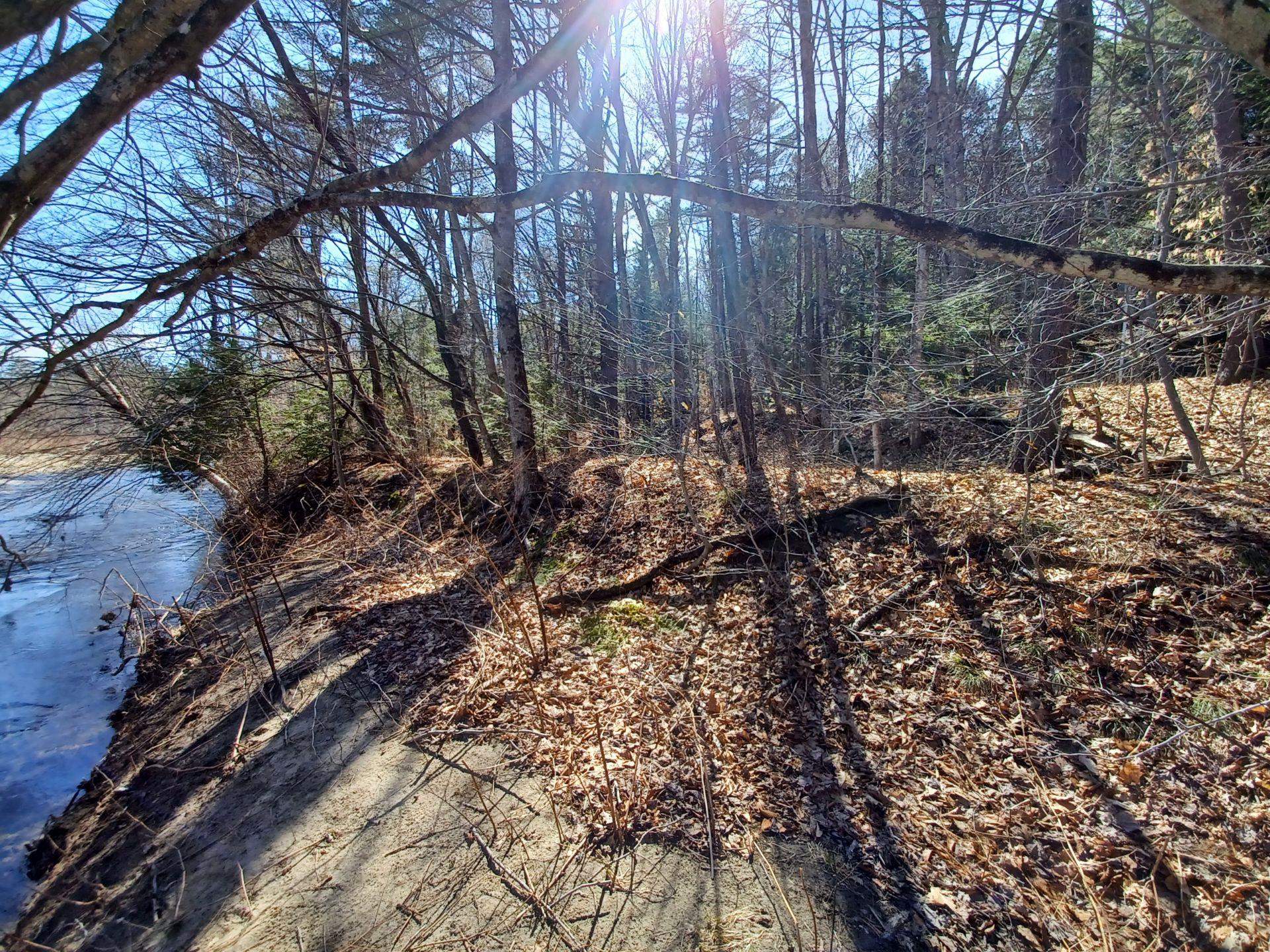 1 Saunders Hill Road Wentworth, NH 03282 - Photo 6 of 16 Gallery Image 6