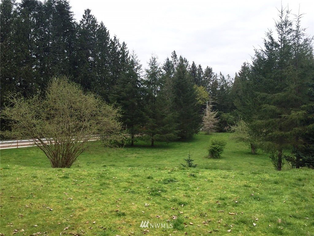 460 East Satsop Road Elma, WA 98541 - Photo 5 of 25 Gallery Image 5