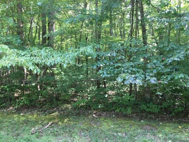 Arrowhead Road Monterey, TN 38574 - Photo 1 of 6 Cumberland Cove Lot
