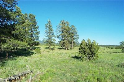 5851 Red Mountain Road Williams, AZ 86046 - Photo 1 of 9 Primary Photo