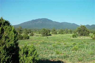 5851 Red Mountain Road Williams, AZ 86046 - Photo 3 of 9 Additional Photo