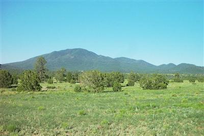 5851 Red Mountain Road Williams, AZ 86046 - Photo 5 of 9 Additional Photo