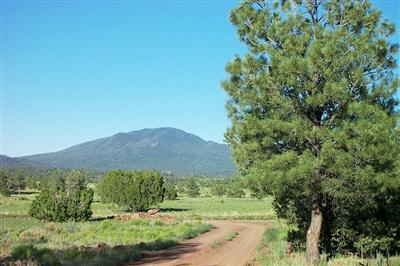 5851 Red Mountain Road Williams, AZ 86046 - Photo 7 of 9 Additional Photo