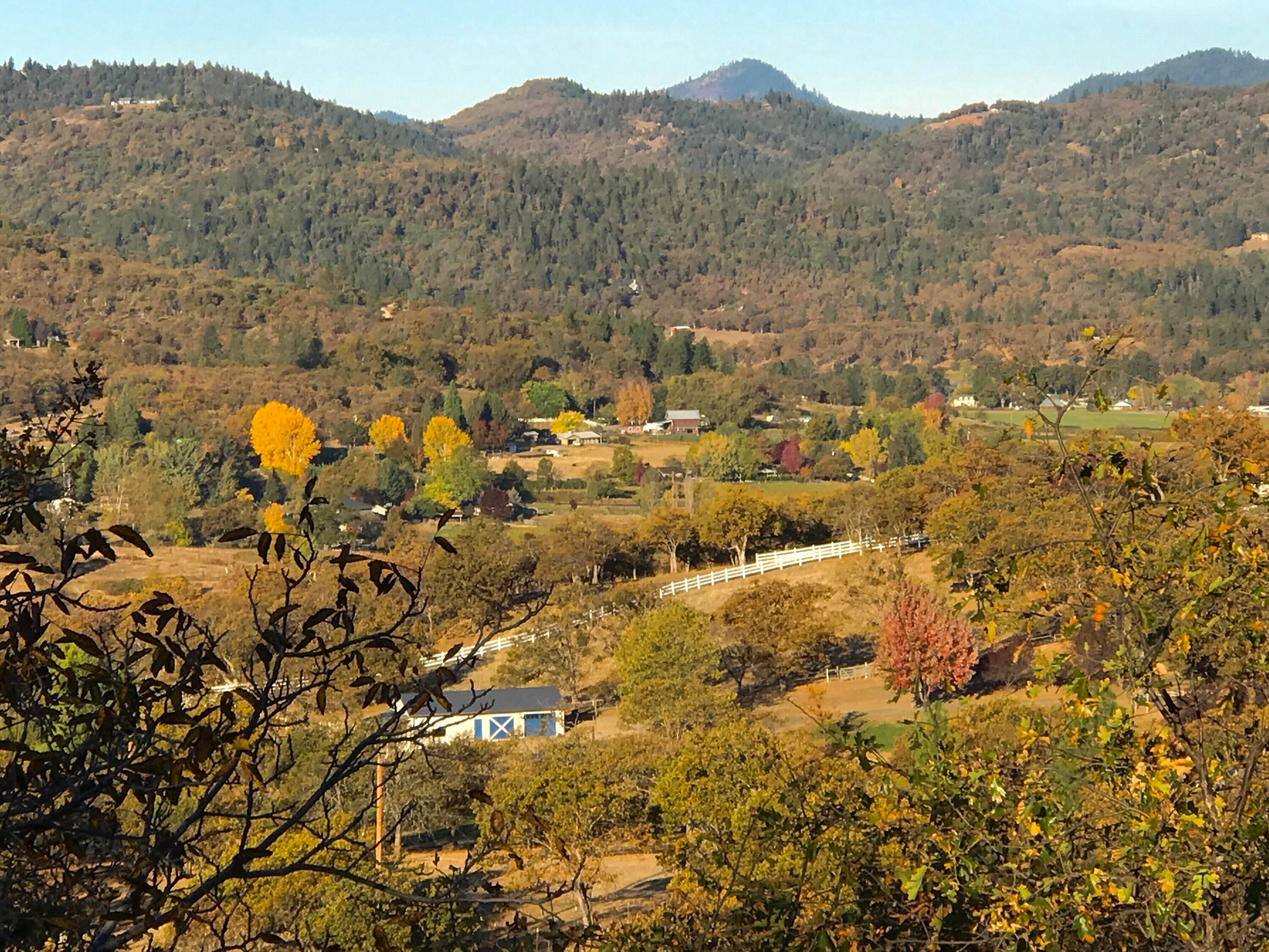 5196 Pioneer Road Medford, OR 97501 - Photo 63 of 94 Fall colors.