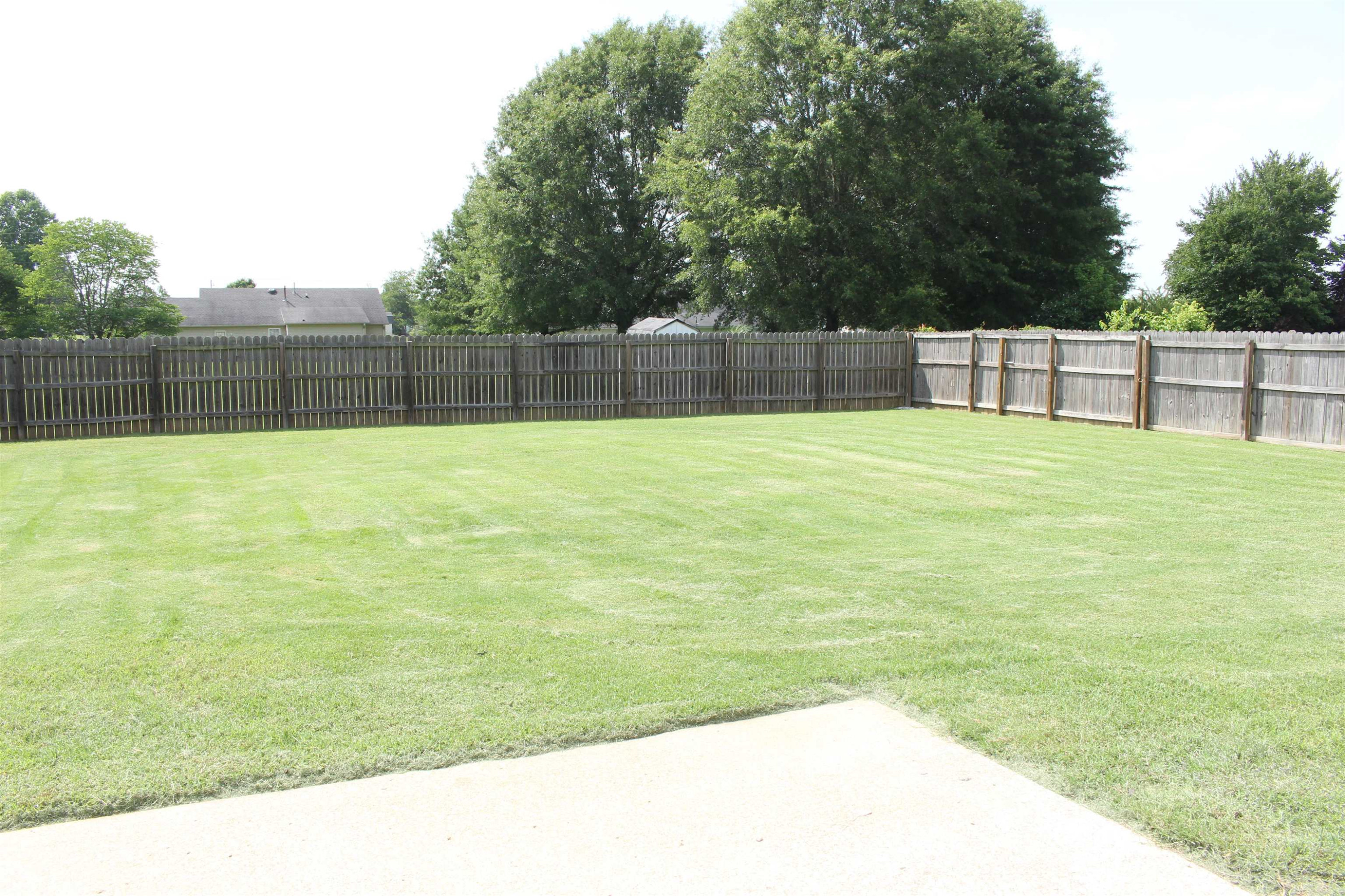 61 Morisch Road Oakfield, TN 38362 - Photo 21 of 21 Photo 21