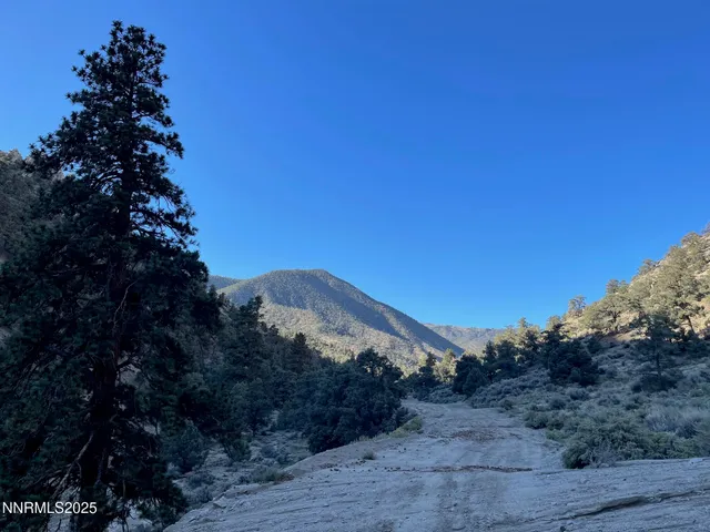 a view of a dry yard