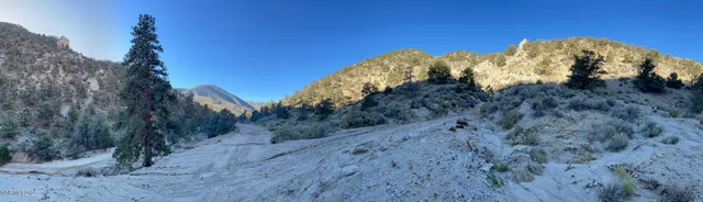 a view of a dry yard