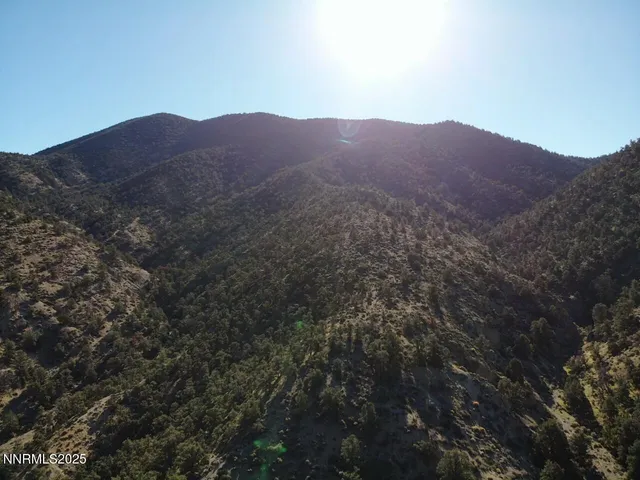 a view of a large tree in a field