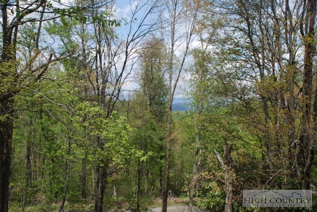 635 Fox Den Road Blowing Rock, NC 28605 - Photo 8 of 8 Gallery Image 8