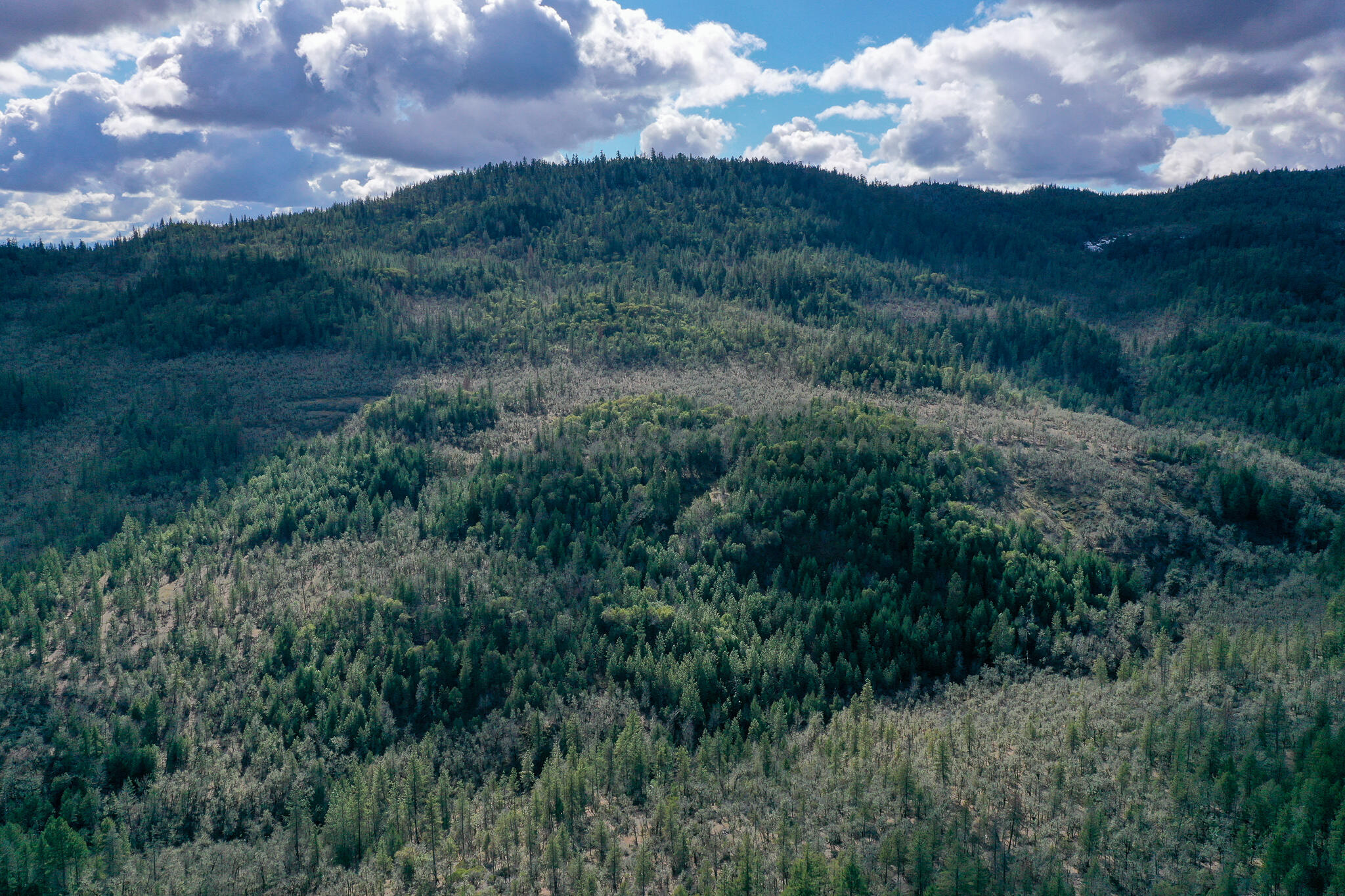 2675 Long Branch Road Eagle Point, OR 97524 - Photo 36 of 37 DJI_0969