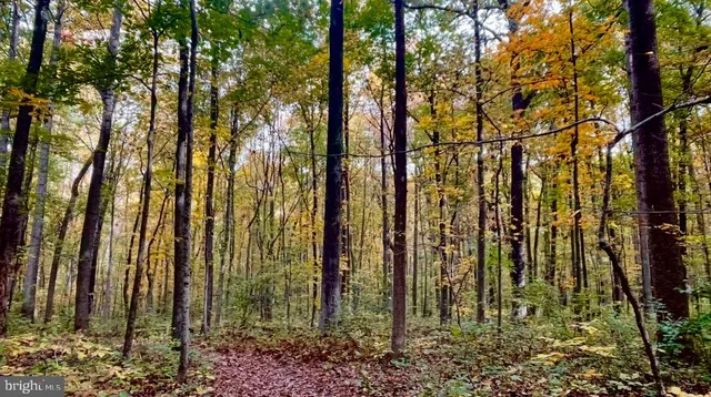 $758,000 | 10280 Arizona Circle, Unit 63, Bethesda, MD 20817