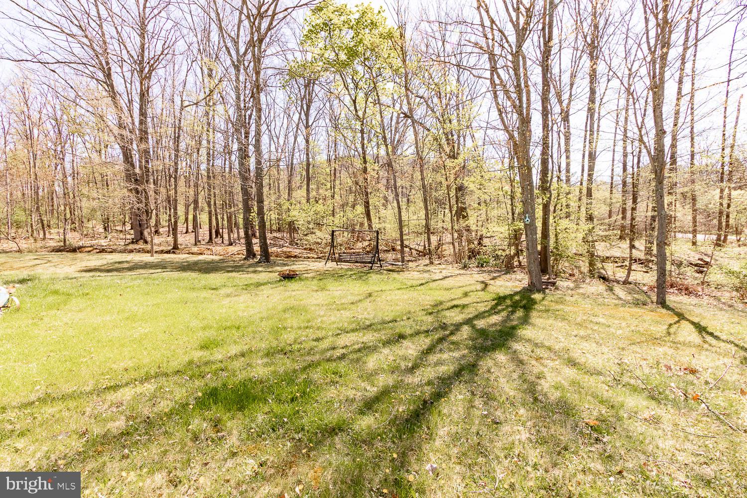 321 Mount Nittany Road Lemont, PA 16851 - Photo 47 of 48 Serene woodland retreat awaits you.