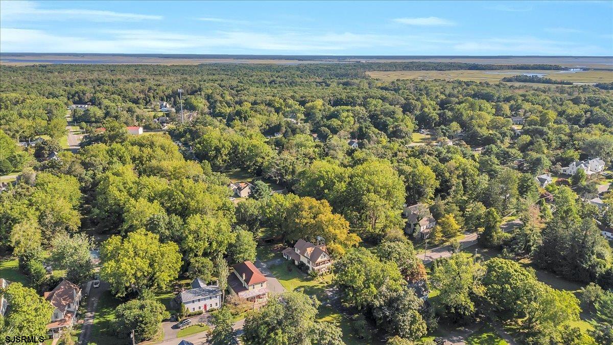 56 Main Street Port Republic, NJ 08241 - Photo 7 of 44 an aerial view of residential houses with outdoor space and trees