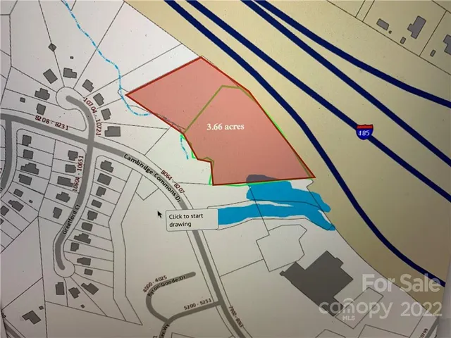 a view of a yard with plants