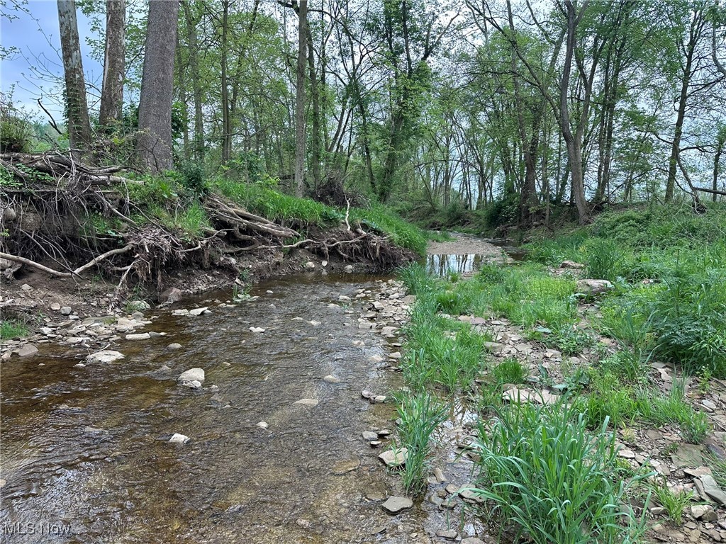 9602 Munson Road Wooster, OH 44691 - Photo 1 of 45 View of local wilderness
