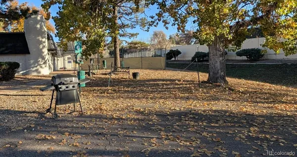 a view of a yard with large trees
