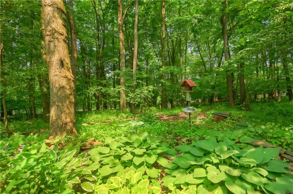 206 Reiber Road Renfrew, PA 16053 - Photo 41 of 43 a view of a garden