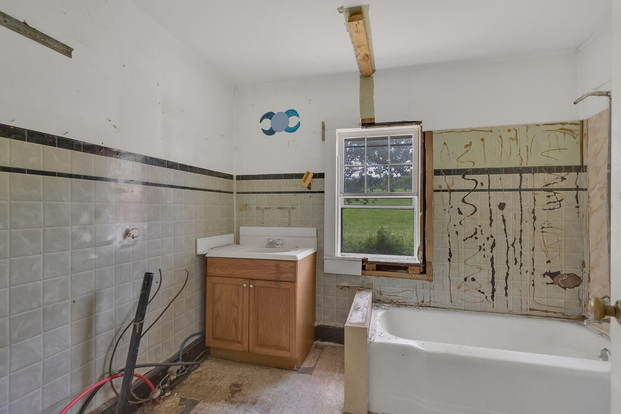 649 Piney Grove Road Hampton, TN 37658 - Photo 12 of 19 12-web-or-mls-217A7852
