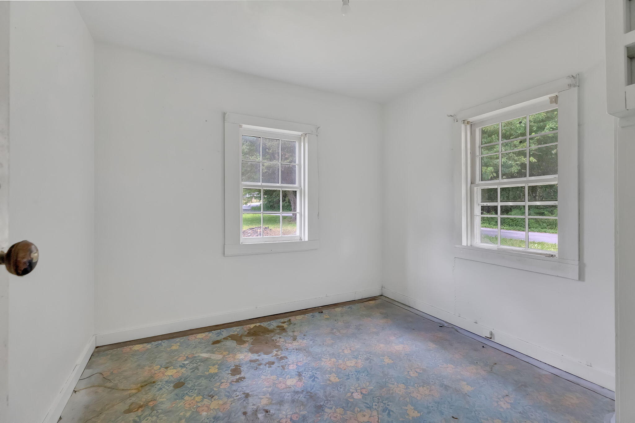 649 Piney Grove Road Hampton, TN 37658 - Photo 8 of 19 8-web-or-mls-217A7832