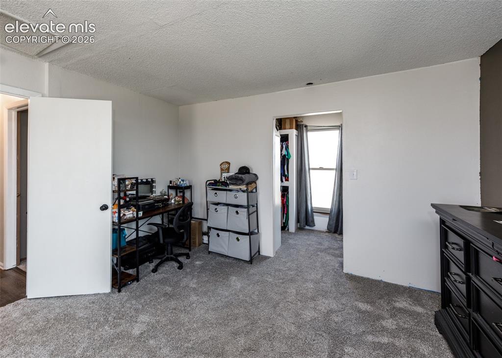 3830 Hemmingway Road Colorado Springs, CO 80930 - Photo 21 of 49