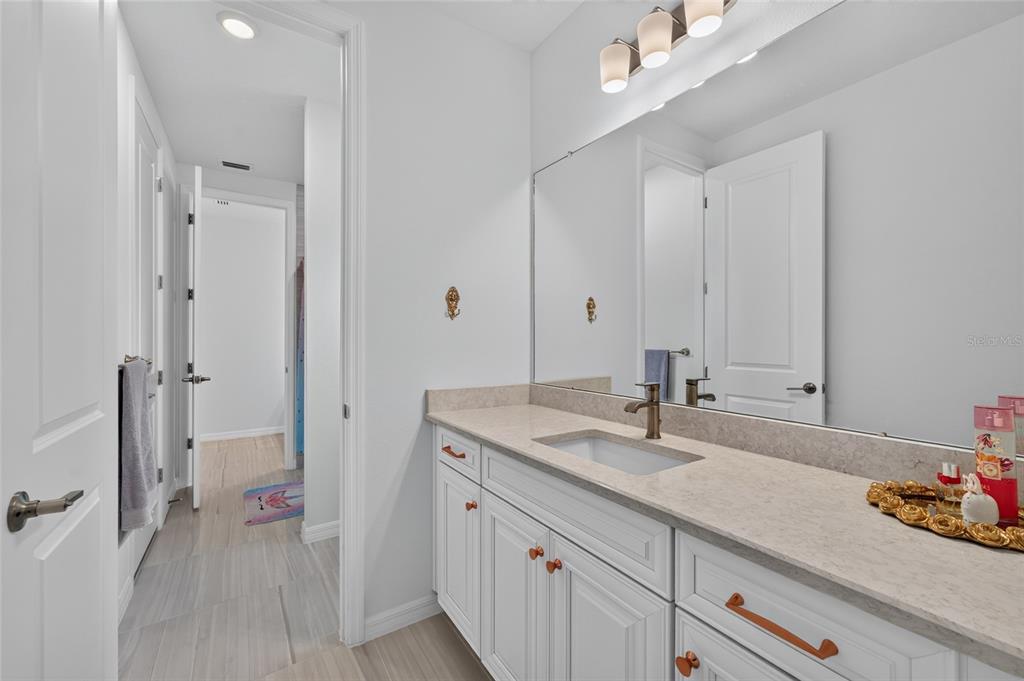 33751 Landsman Loop Wesley Chapel, FL 33543 - Photo 67 of 97