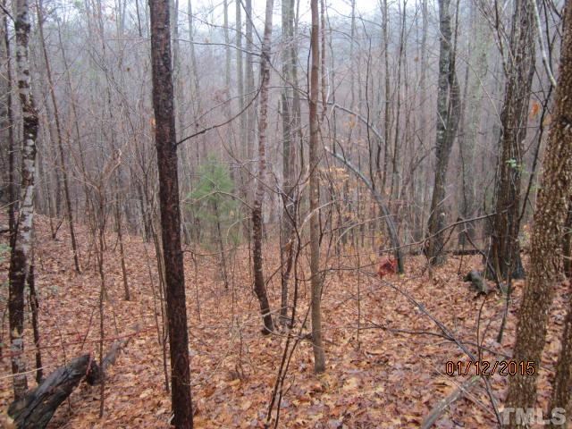 751 Lonach Lane Roxboro, NC 27574 - Photo 3 of 16 Gallery Image 3