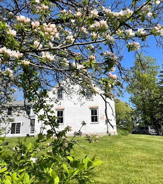 161 Pittston Road Whitefield, ME 04353 - Photo 56 of 60 Springtime