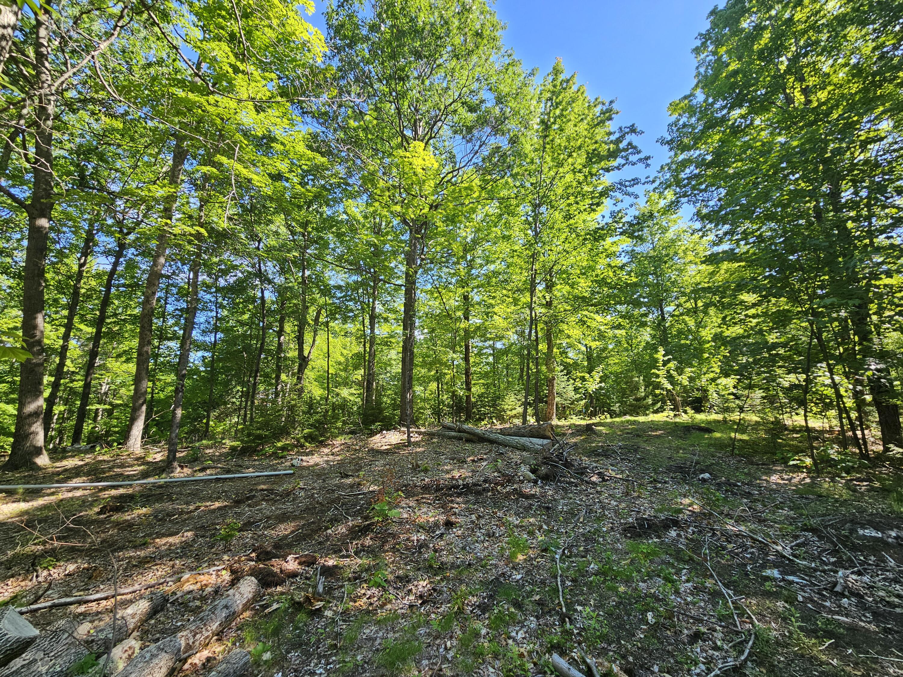 106 Maple Rdg Way Keene, NY 12942 - Photo 5 of 13