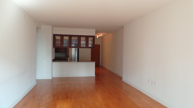 1235 South Prairie Avenue, Unit 907 Chicago, IL 60605 - Photo 3 of 18