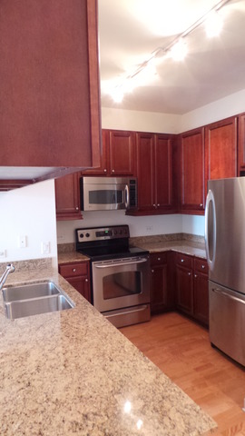 1235 South Prairie Avenue, Unit 907 Chicago, IL 60605 - Photo 5 of 18