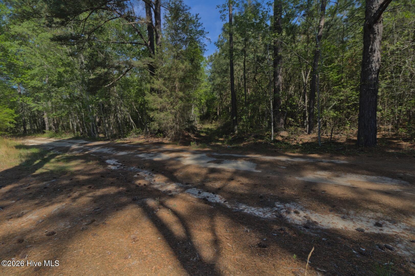 0 Sr 1226 Road Aberdeen, NC 28315 - Photo 24 of 43 Ground Site 8 Access from Kearns
