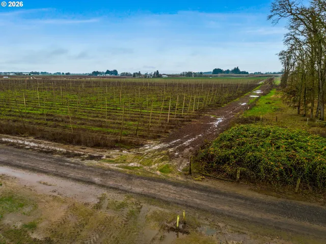 a view of a lake with a beach