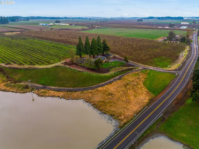 a view of a field with an ocean