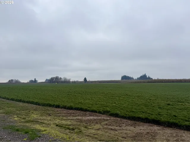 a view of outdoor space with trees