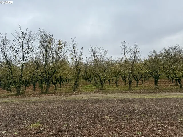 a big room with table and chairs