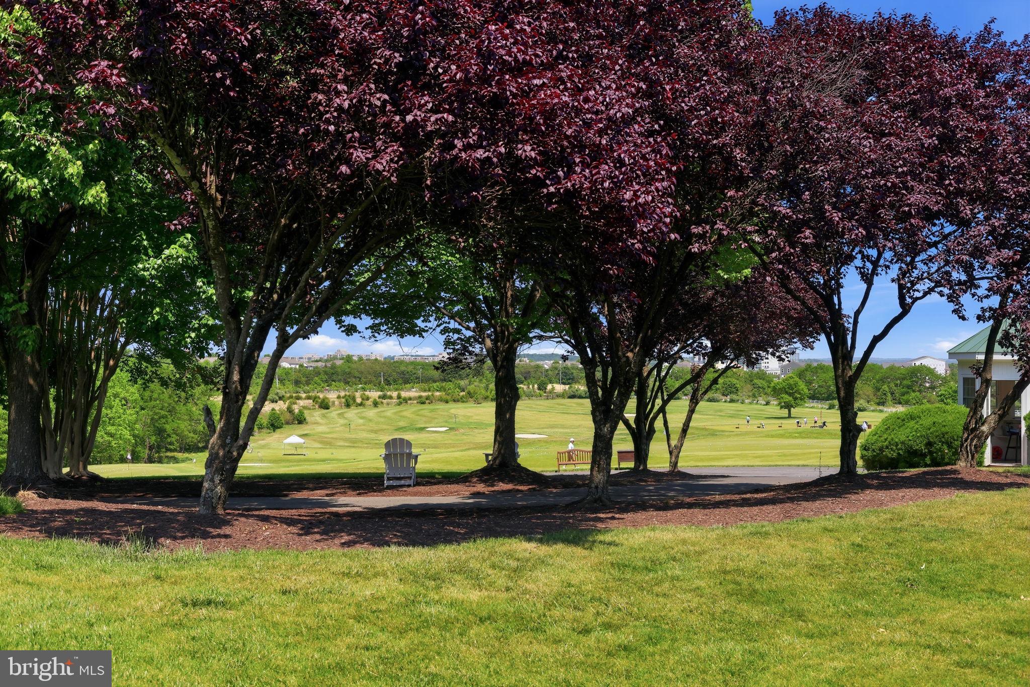 19617 Edgemont Square Ashburn, VA 20147 - Photo 56 of 65 a view of a yard with a large tree