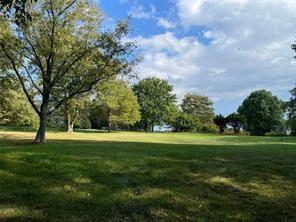 a grassy field with trees in the background