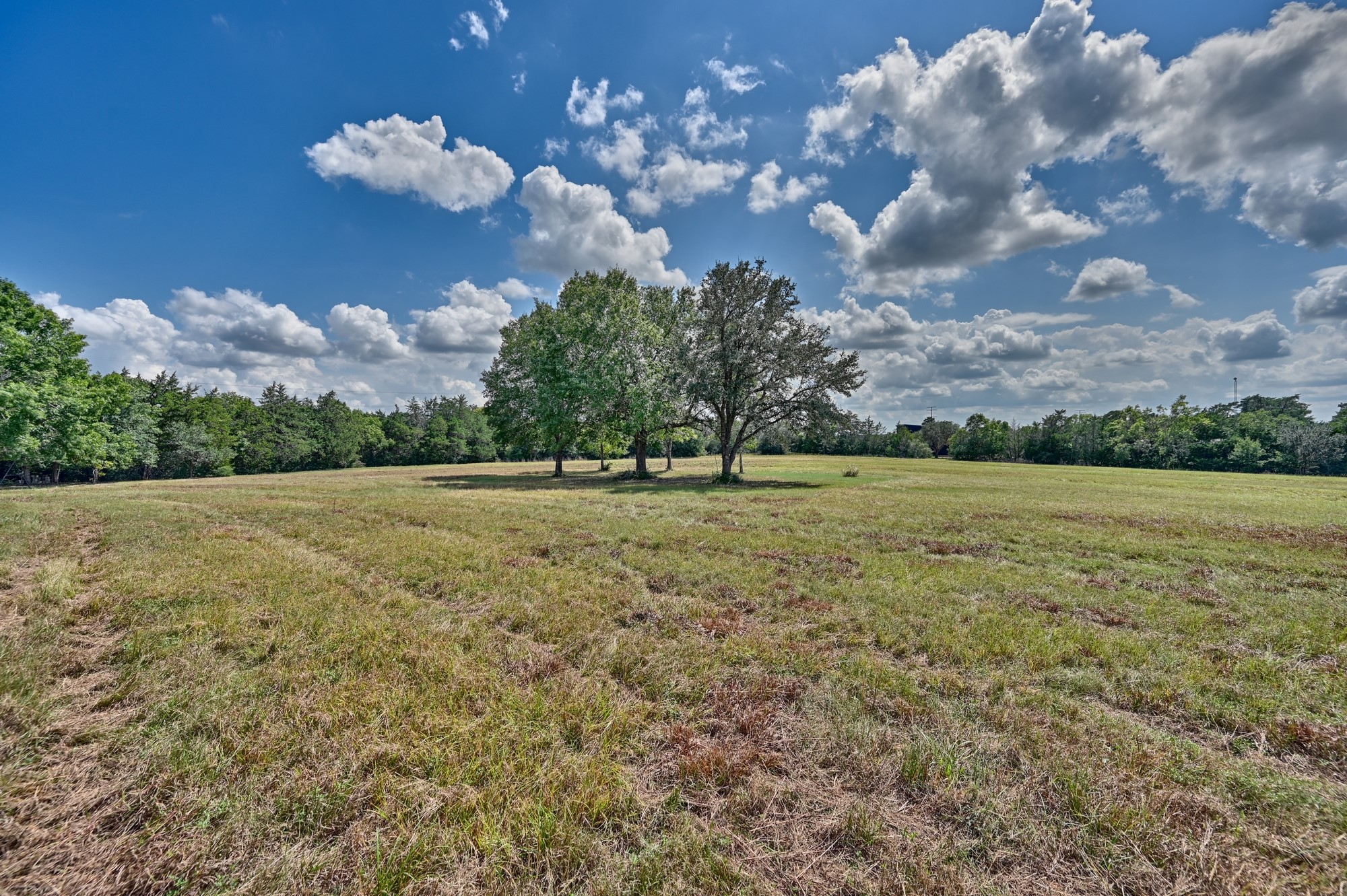 7515 Shelby Road Burton, TX 77835 - Photo 4 of 31 Gallery Image 4