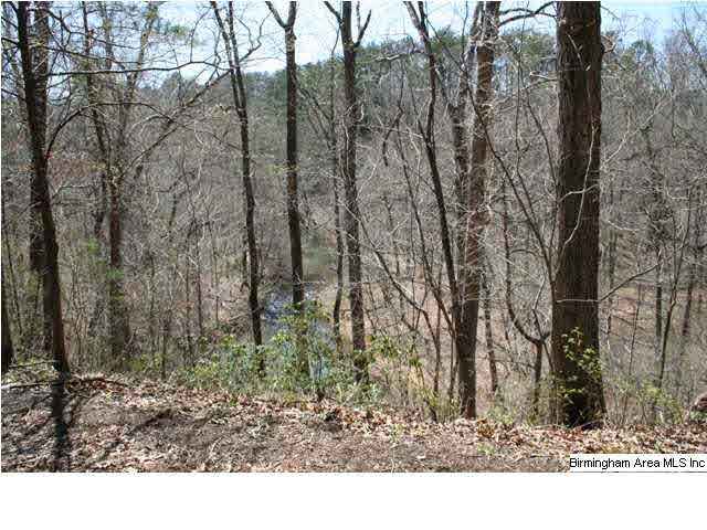 Narrows Road, Unit 168 Remlap, AL 35133 - Photo 17 of 21